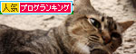 ふたりの夢?_d0355333_19112335.jpg