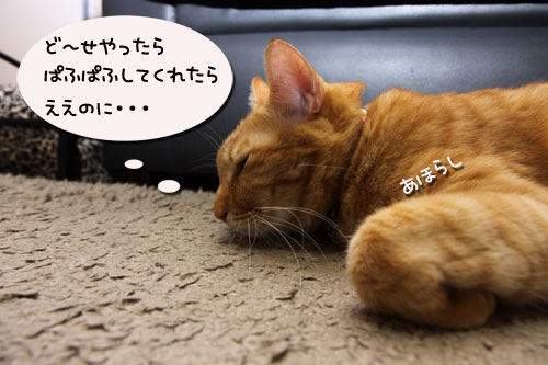 50ゴールドで何する?_d0355333_19113139.jpg