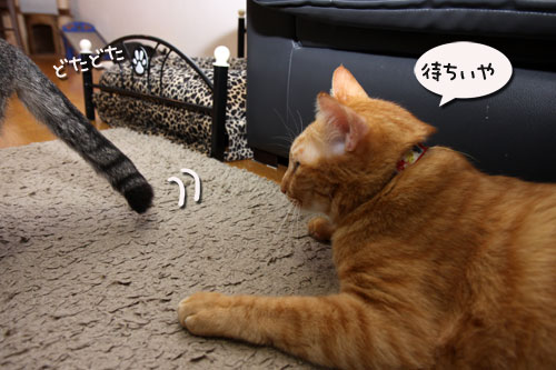 50ゴールドで何する?_d0355333_19113162.jpg