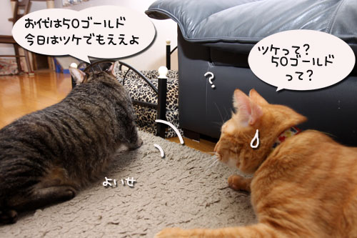 50ゴールドで何する?_d0355333_19113188.jpg