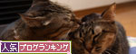 大丈夫、は魔法の言葉。_d0355333_19113293.jpg