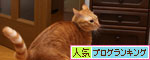 扉ごしの攻防!_d0355333_19113584.jpg