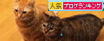 冷たい雨の日は心配だけど_d0355333_19113779.jpg