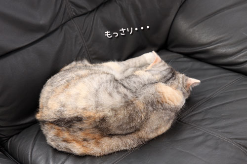 掃除の後に気がつくモノ_d0355333_19113908.jpg