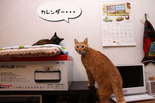 ちょっと抜けてる・・・_d0355333_19114379.jpg