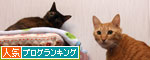 ちょっと抜けてる・・・_d0355333_19114449.jpg