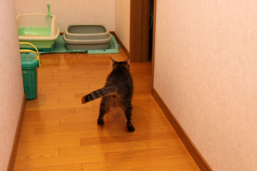 夜のハプニング_d0355333_19114606.jpg