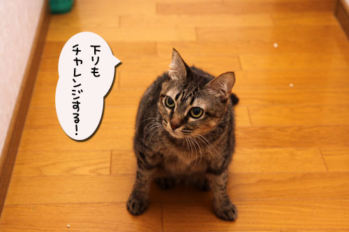 夜のハプニング_d0355333_19114721.jpg