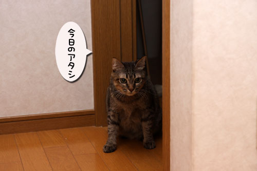 夜のハプニング_d0355333_19114730.jpg