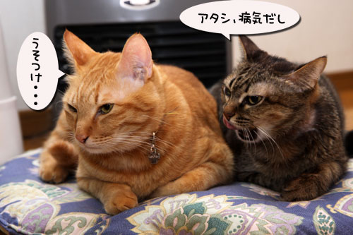 ホントに病気?_d0355333_19114918.jpg