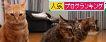 どんどこが止まらない!_d0355333_19115051.jpg