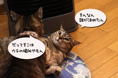 あれから一年。_d0355333_19115286.jpg