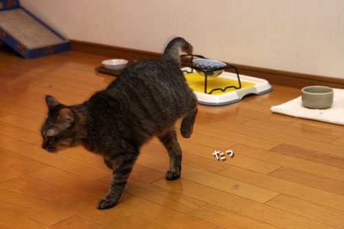 3週間後があった_d0355333_19120762.jpg