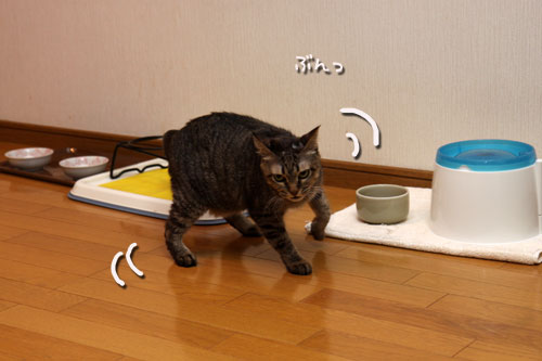 3週間後があった_d0355333_19120785.jpg