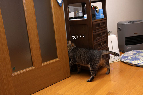 3週間後があった_d0355333_19120869.jpg
