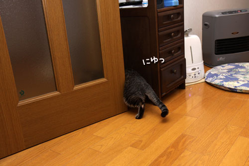 3週間後があった_d0355333_19120874.jpg