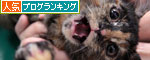 ちびっこたちの復讐_d0355333_19121478.jpg