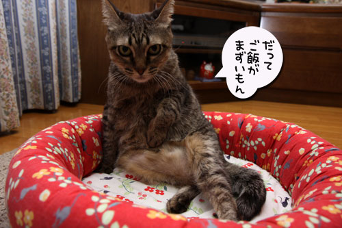 食欲とオヤツの関係_d0355333_19121698.jpg