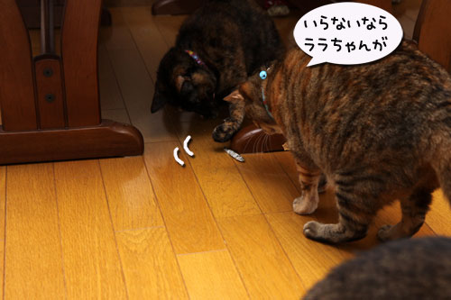りさ流おいしい食べ方_d0355333_19122048.jpg