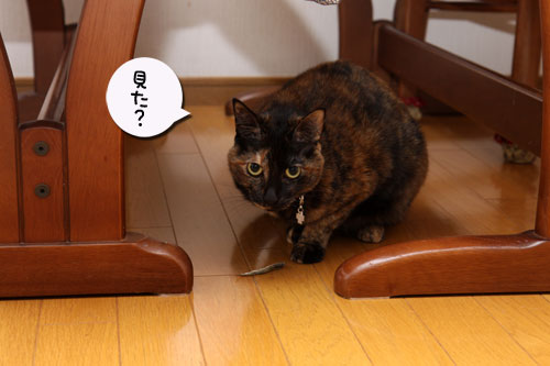 りさ流おいしい食べ方_d0355333_19122059.jpg