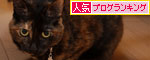 りさ流おいしい食べ方_d0355333_19122063.jpg