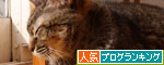 孤独感_d0355333_19122707.jpg