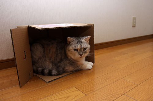 箱の有効利用_d0355333_19122795.jpg