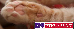 あけましておめでとうございます_d0355333_19250449.jpg