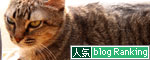 あすかちゃん永眠しました_d0355333_19250645.jpg