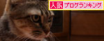 すろ~なにゃんず_d0355333_19250904.jpg