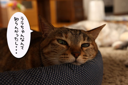 いよいよこの日が・・・!_d0355333_19251149.jpg