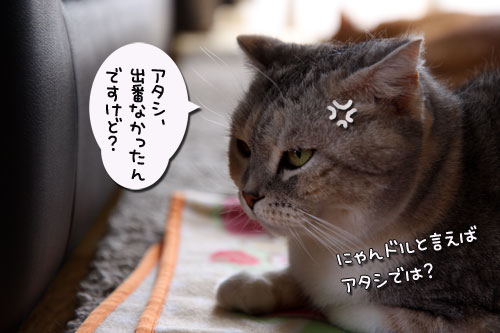 いよいよこの日が・・・!_d0355333_19251161.jpg