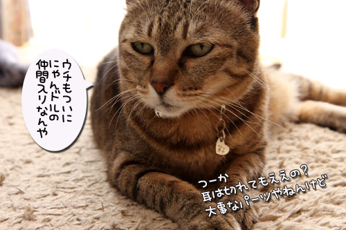 いよいよこの日が・・・!_d0355333_19251239.jpg