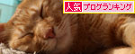 いよいよこの日が・・・!_d0355333_19251255.jpg