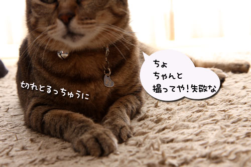 いよいよこの日が・・・!_d0355333_19251258.jpg