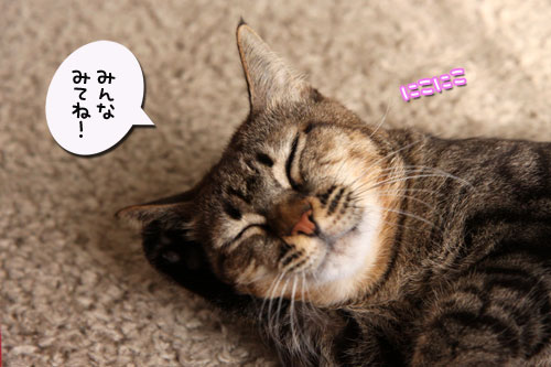 いよいよこの日が・・・!_d0355333_19251262.jpg