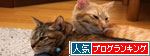 ララちゃんの話を聞いてください_d0355333_19253088.jpg
