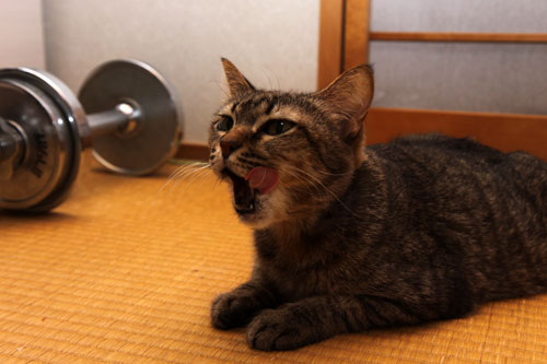 神さまがくれた、一週間_d0355333_19253463.jpg