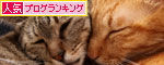 猫違い_d0355333_19253727.jpg