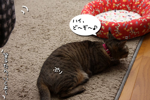 あれは、何?★追記あり_d0355333_19253912.jpg