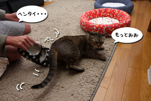 あれは、何?★追記あり_d0355333_19253929.jpg