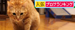 あれは、何?★追記あり_d0355333_19253946.jpg