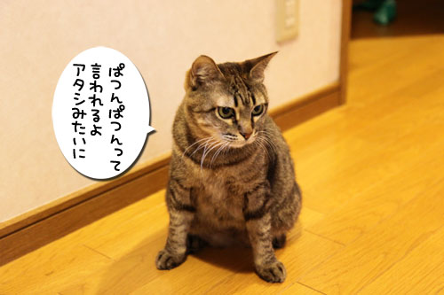 ぱつんぱつん同盟結成_d0355333_19254793.jpg