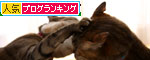 TVタックルに突っ込みながら_d0355333_19254966.jpg