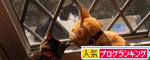 窓際の銀ちゃん_d0355333_19255672.jpg
