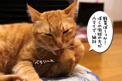 タジン鍋がやってきた!_d0355333_19260129.jpg