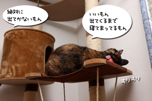 ぷちイケズ。_d0355333_19260631.jpg