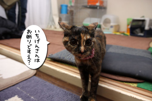 ホスピタルズの正式譲渡_d0355333_19261104.jpg