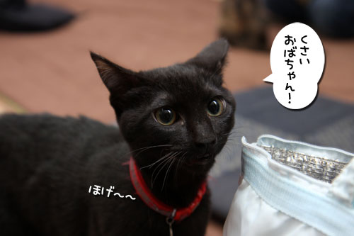 ホスピタルズの正式譲渡_d0355333_19261188.jpg