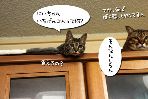 ホスピタルズの正式譲渡_d0355333_19261256.jpg